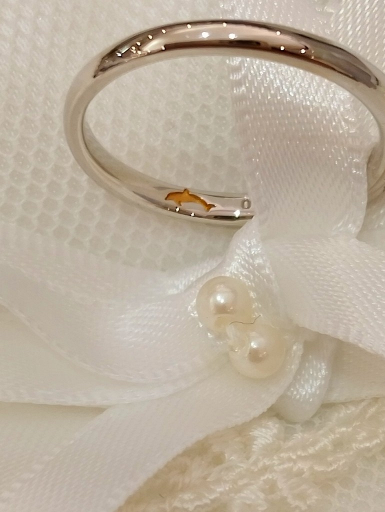 IMG_20260309_135837~2